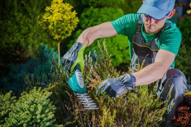 landscaping services Newellton